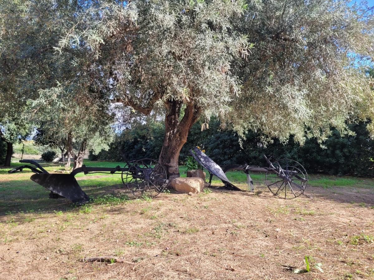 הוילה Sant Isidoro  Rifugio Della Pace Piano Terra E Primo Piano מראה חיצוני תמונה